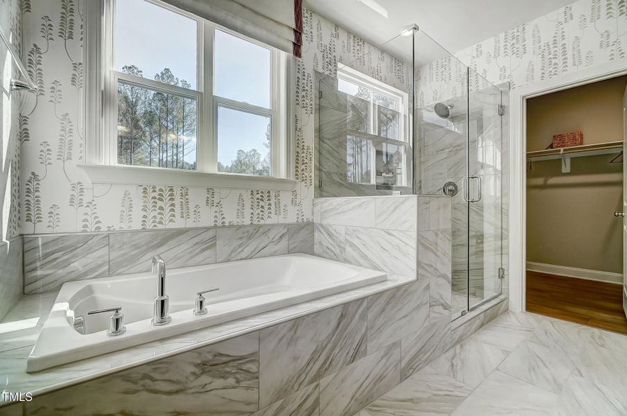 Roanoke - BTS Model - 038 Roanoke - BTS Model - 038