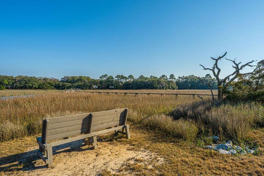 Natural landscape and outdoor views near in Charleston (Image 16). Natural landscape and outdoor views near in Charleston (Image 16).