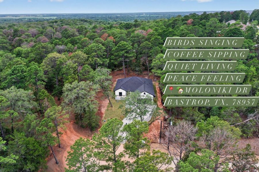 Nestled amidst verdant woodlands, this private residence offers a secluded retreat with ample natural surroundings. Nestled amidst verdant woodlands, this private residence offers a secluded retreat with ample natural surroundings.