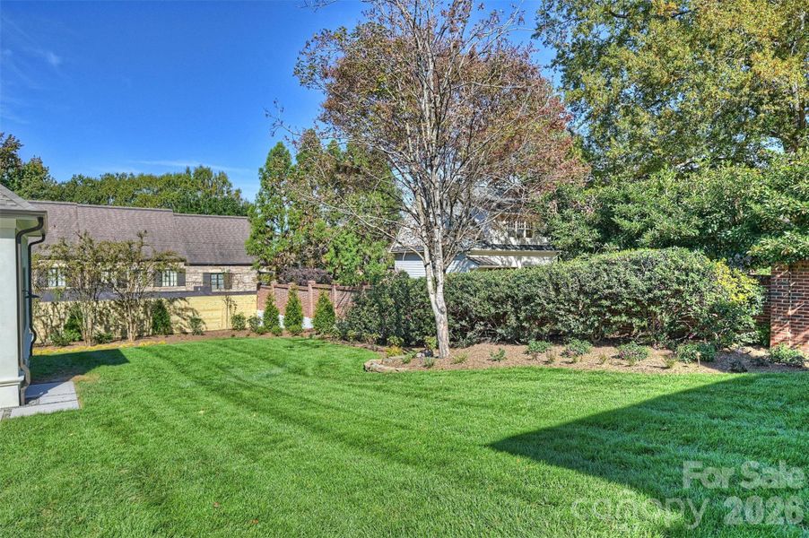 Natural landscape and outdoor views near  in Charlotte (Image 36).