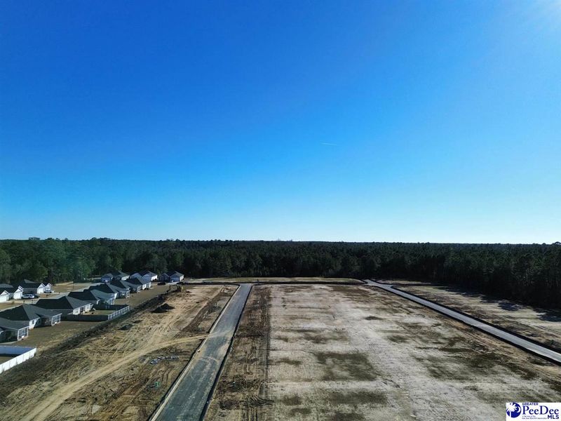 Site preparation for new homesites in Spring Haven, Florence (Image 6).