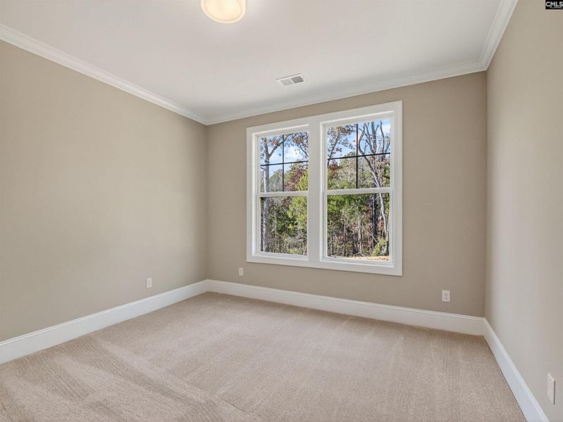 Spacious, unfurnished interior of a new home in Collins Cove, Chapin (Image 34).