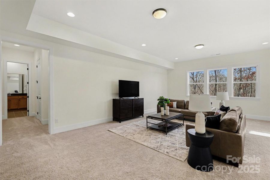 Basement living area