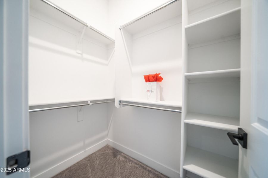 11615 N 169th Ave 11615 N 169th Ave