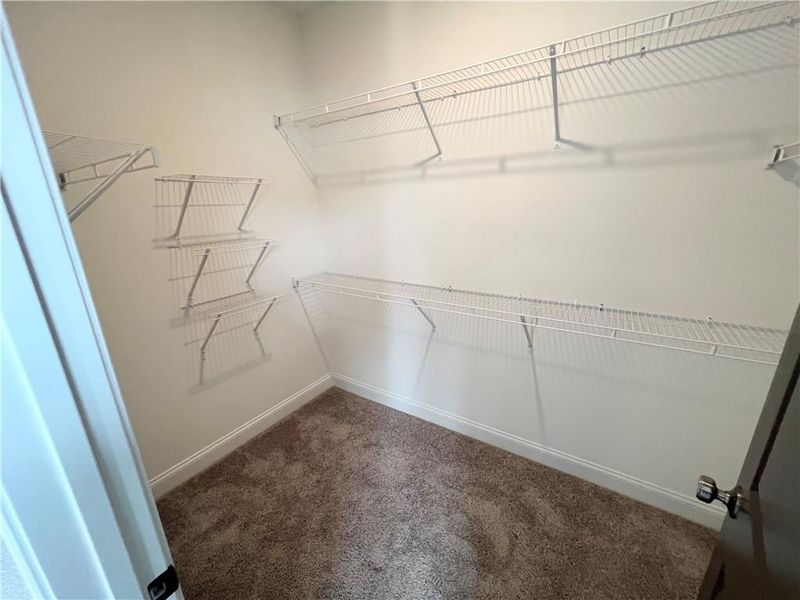 Owners Spacious closet featuring carpet floors
