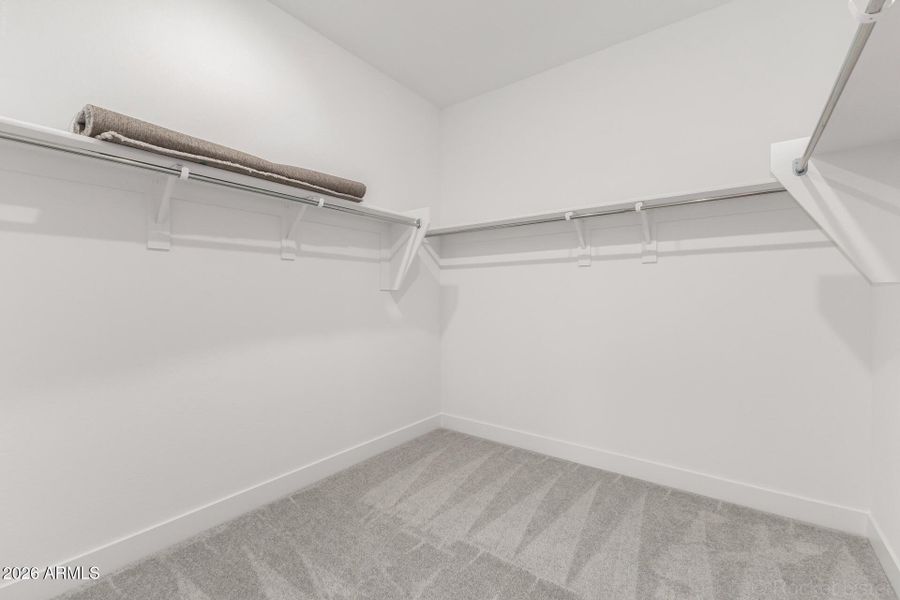 17 - Mecklenburg 2913