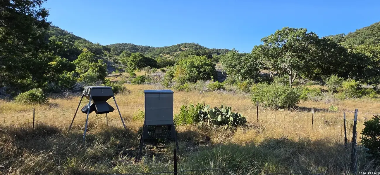 Natural landscape and outdoor views near  in Leakey (Image 66).