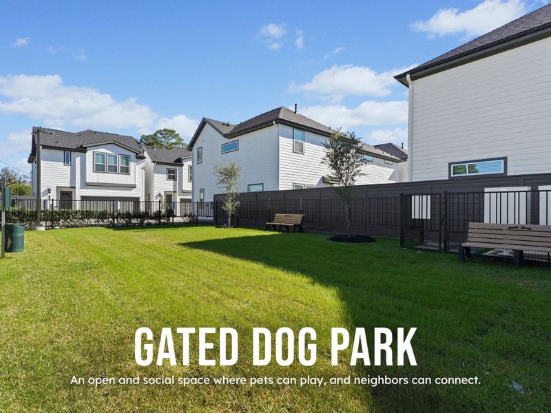 Gated Dog Park