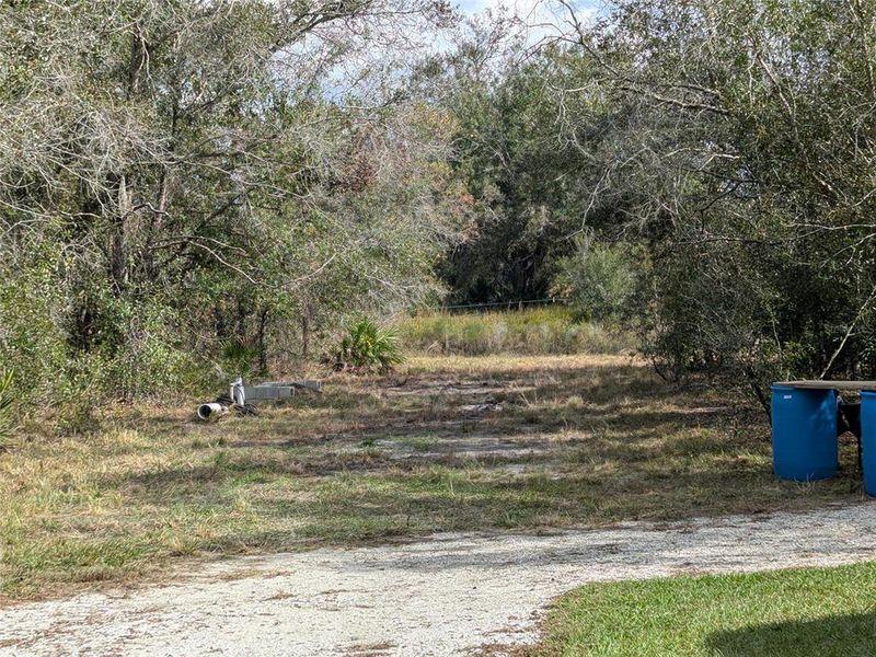 Natural landscape and outdoor views near  in Arcadia (Image 25).
