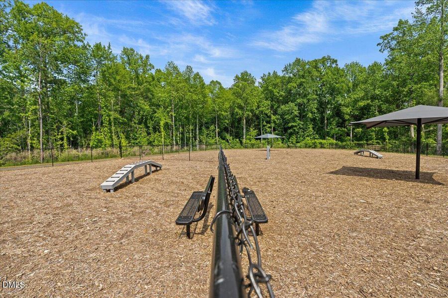 43-DSC01109 43-DSC01109