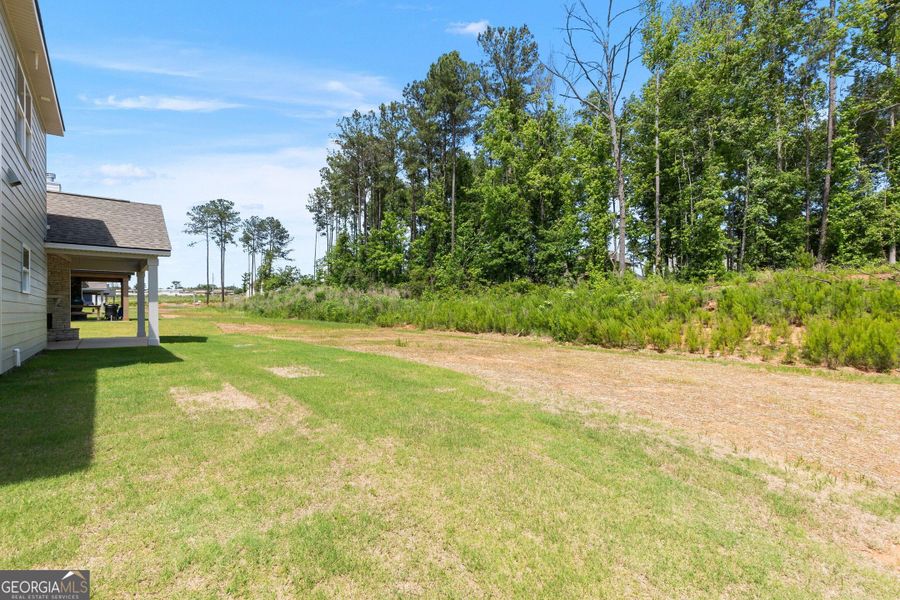 Exterior details and patio area of a home in Juliette Crossing, Forsyth (Image 34).