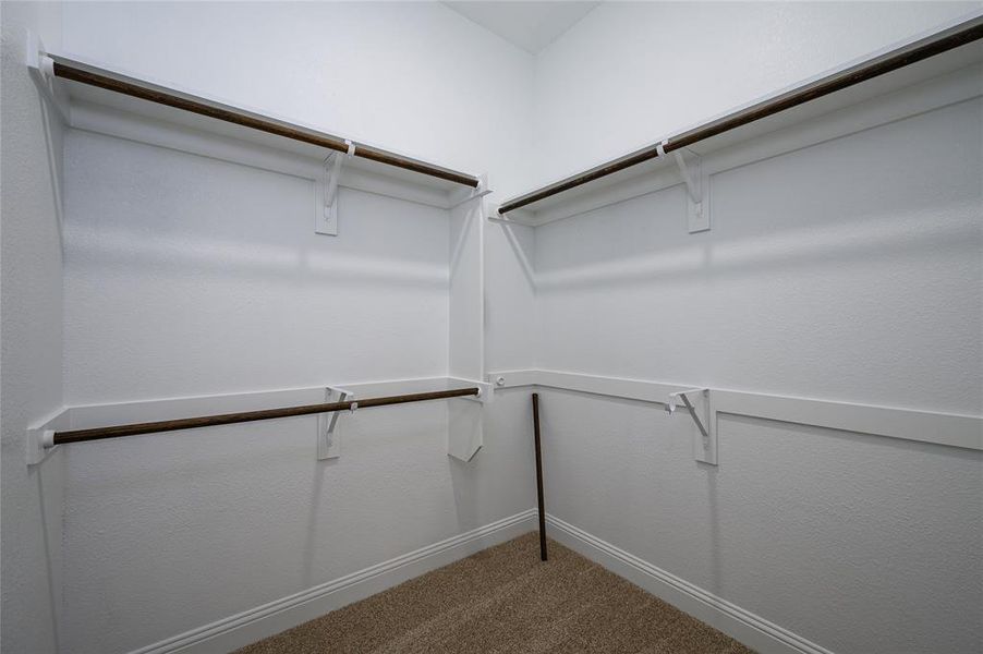 Spacious 2 closets in Primary bedroom with carpet flooring