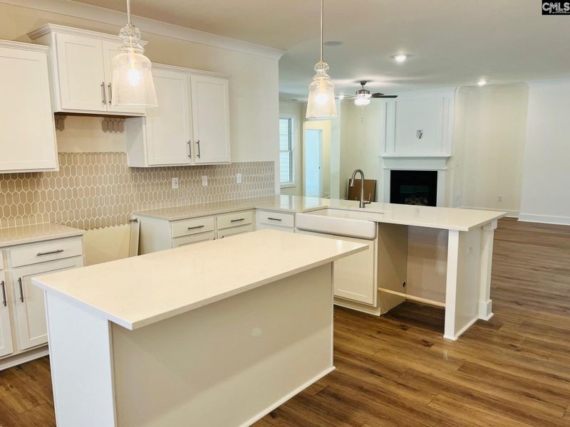 Furnished interior view inside a new home in Blythewood Farms, Blythewood (Image 3).