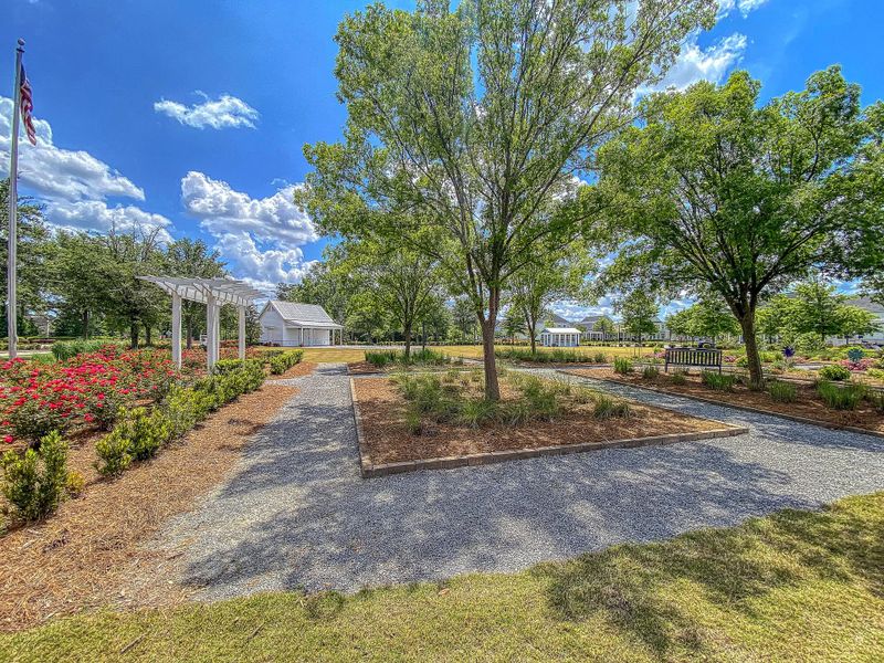 Natural landscape and outdoor views near Sweetgrass at Summers Corner: Arbor Collection in Summerville (Image 30). Natural landscape and outdoor views near Sweetgrass at Summers Corner: Arbor Collection in Summerville (Image 30).
