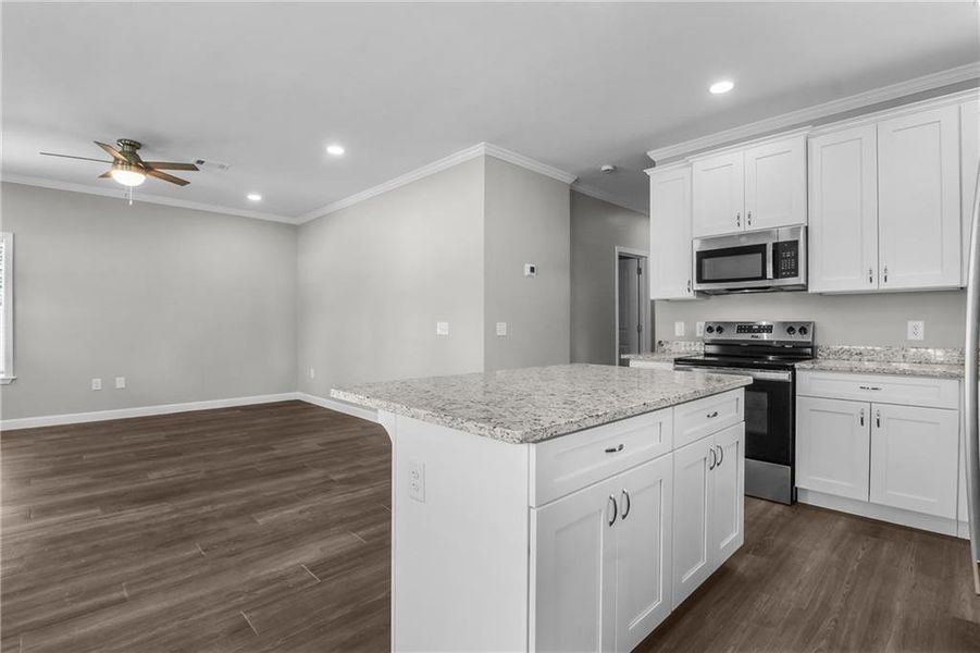 Furnished interior view inside a new home in , Ludowici (Image 11). Furnished interior view inside a new home in , Ludowici (Image 11).