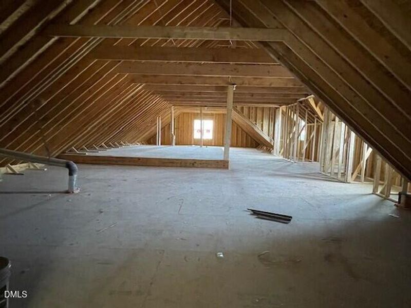 Unfinished Attic Storage
