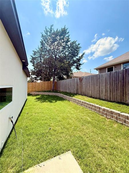 View of yard