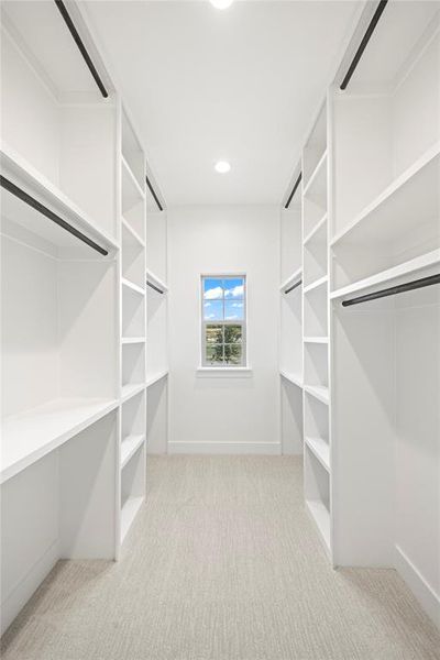 Spacious closet with light carpet
