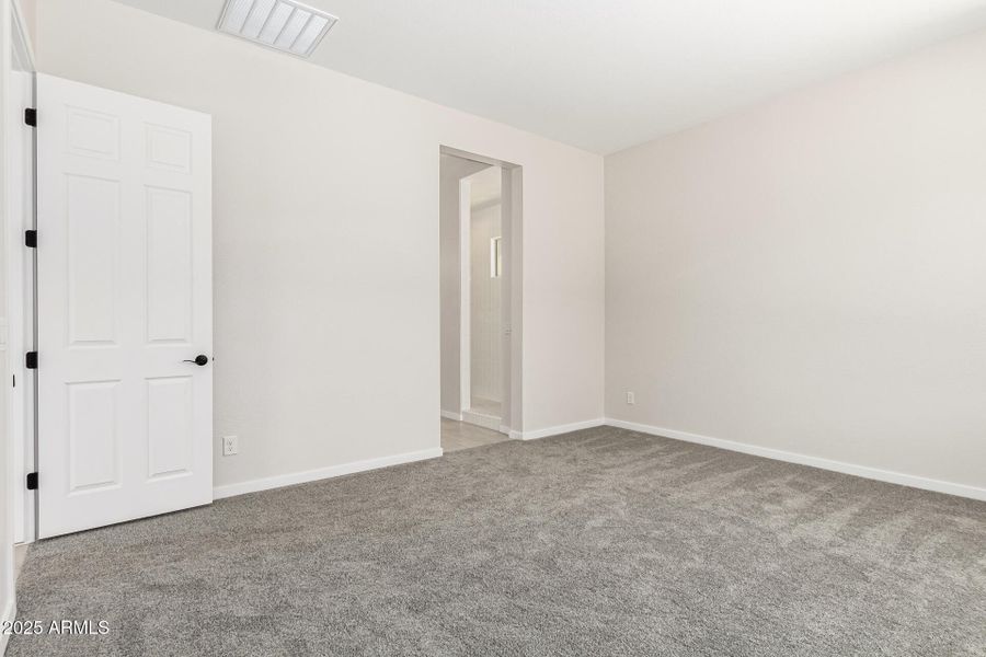 17-Hollyhock 17-Hollyhock