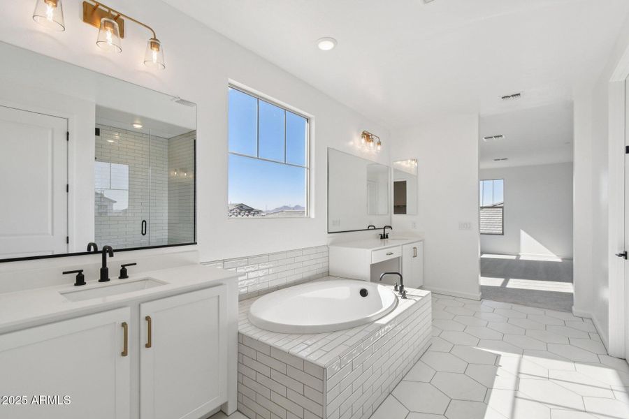 44-web-or-mls-E Saddle Way-S0111-038