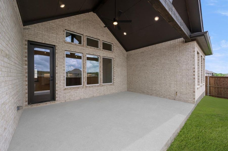 460 Shadowfax- Back-1