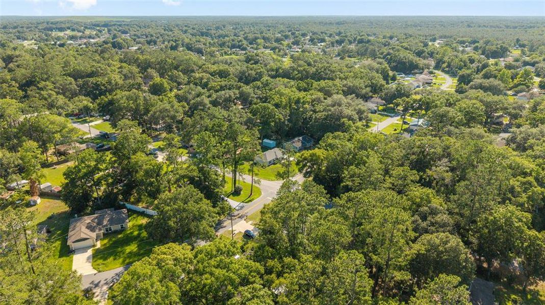 Natural landscape and outdoor views near  in Ocala (Image 36).
