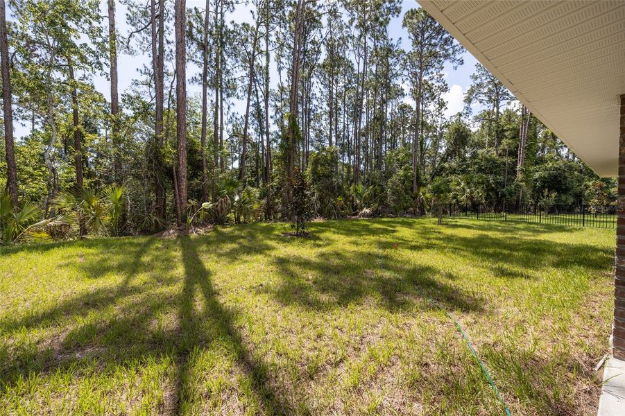 Image 23 of a home in Palm Coast. Image 23 of a home in Palm Coast.