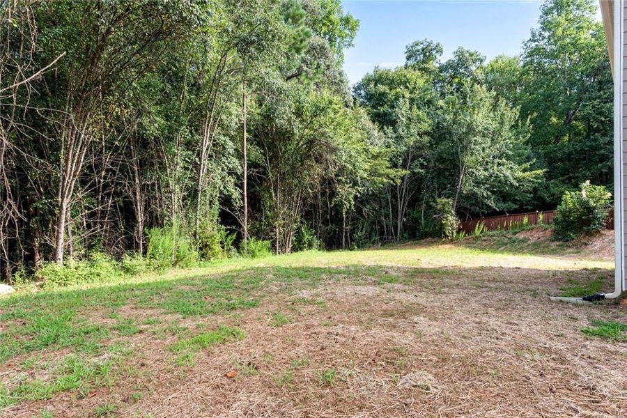 Natural landscape and outdoor views near  in Ellenwood (Image 43).