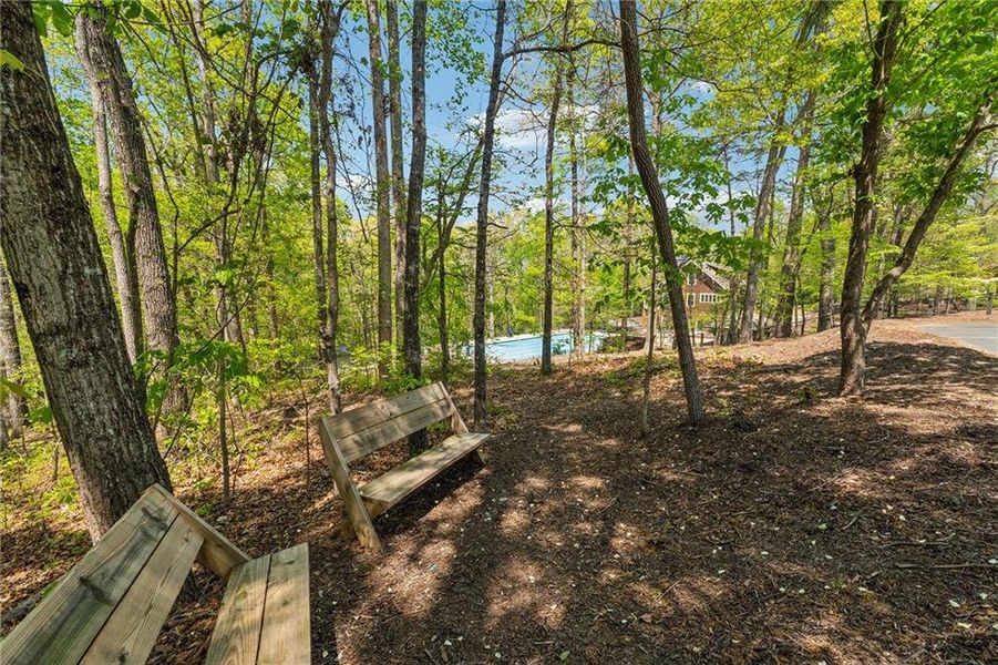 Natural landscape and outdoor views near in Dawsonville (Image 44). Natural landscape and outdoor views near in Dawsonville (Image 44).