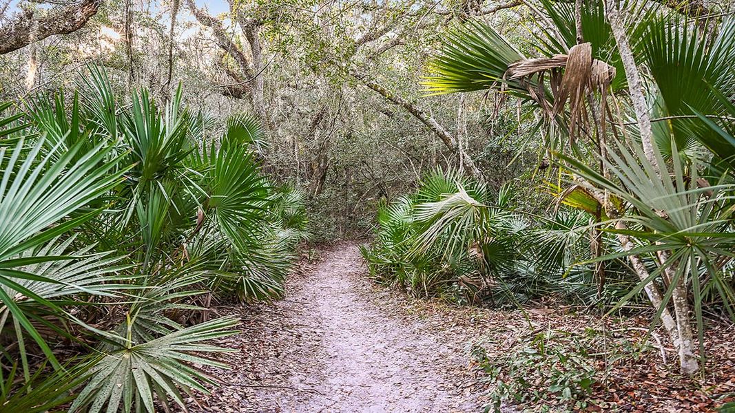Natural landscape and outdoor views near Colbert Landings in Palm Coast (Image 70).
