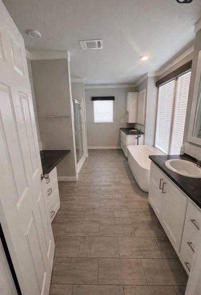 Primary bathroom