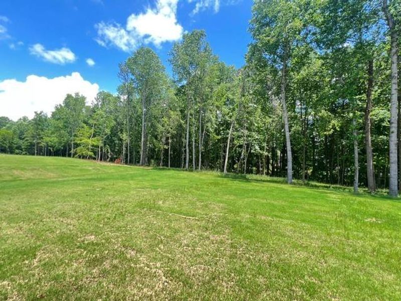 Natural landscape and outdoor views near in Cumming (Image 37). Natural landscape and outdoor views near in Cumming (Image 37).