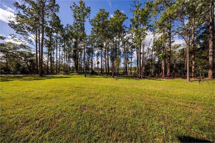 Natural landscape and outdoor views near in Deltona (Image 46). Natural landscape and outdoor views near in Deltona (Image 46).