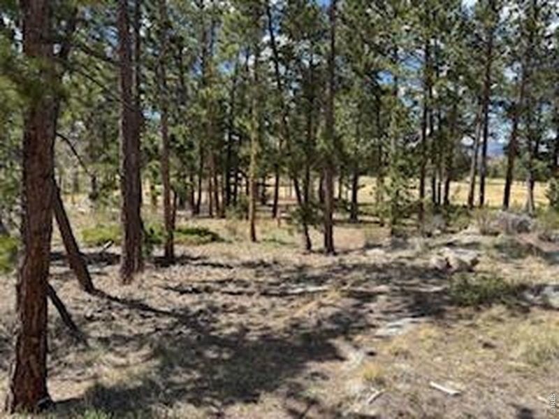 Natural landscape and outdoor views near  in Red Feather Lakes (Image 21).
