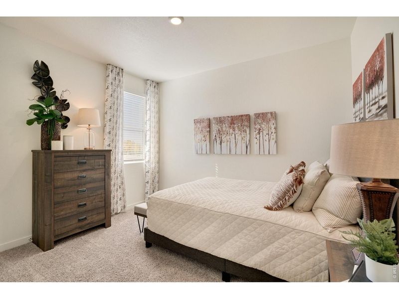 Furnished interior view inside a new home in Fossil Creek Ranch, Windsor (Image 4).