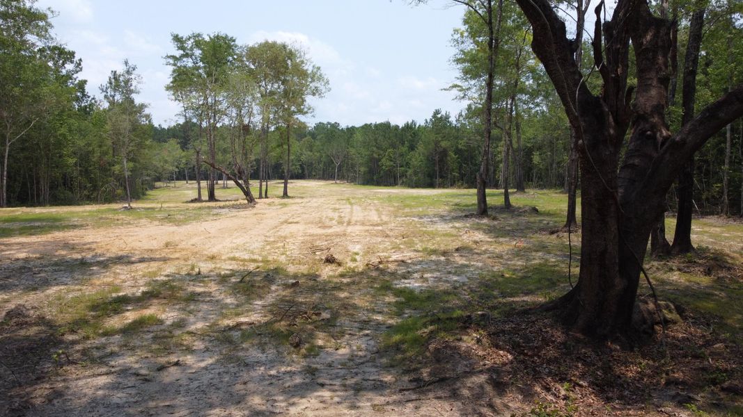 Natural landscape and outdoor views near in Huger (Image 11). Natural landscape and outdoor views near in Huger (Image 11).
