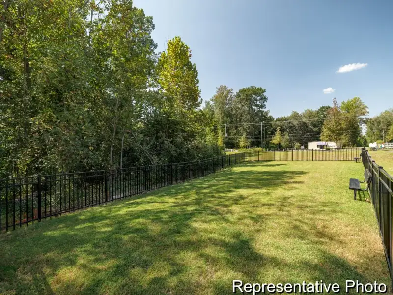 Natural landscape and outdoor views near Village at Reedy Creek Townhomes in Charlotte (Image 26).