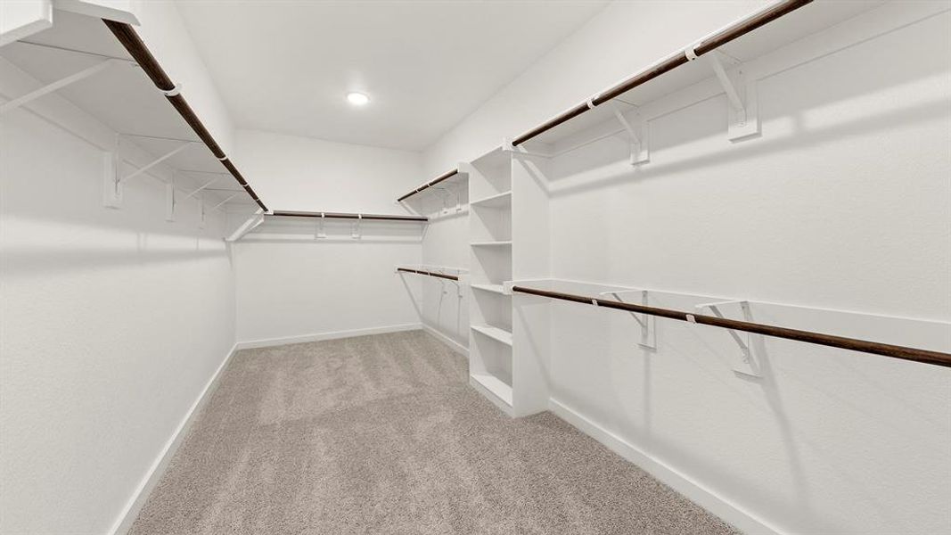 Olive Primary Closet