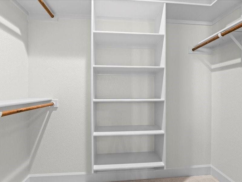 Walk in closet with carpet