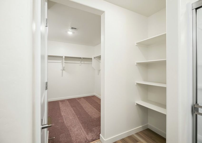 Primary walk-in closet with built-in shelving in Wellton floor plan