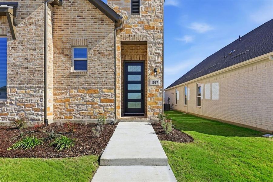 1017 Rainshower ~ Ready Now 1017 Rainshower ~ Ready Now