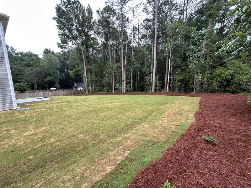 Natural landscape and outdoor views near  in Conyers (Image 13).