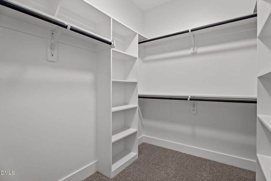 41-web-or-mls-DSC05647