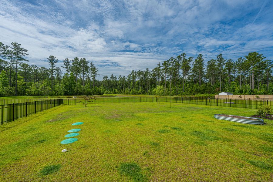 Natural landscape and outdoor views near The Enclave at French Quarter Creek in Huger (Image 65). Natural landscape and outdoor views near The Enclave at French Quarter Creek in Huger (Image 65).
