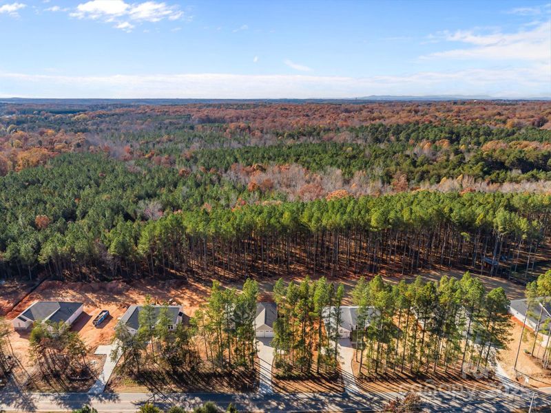 Natural landscape and outdoor views near  in Lincolnton (Image 34).
