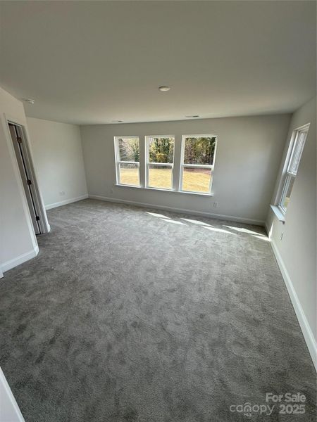 Owner's Suite Owner's Suite