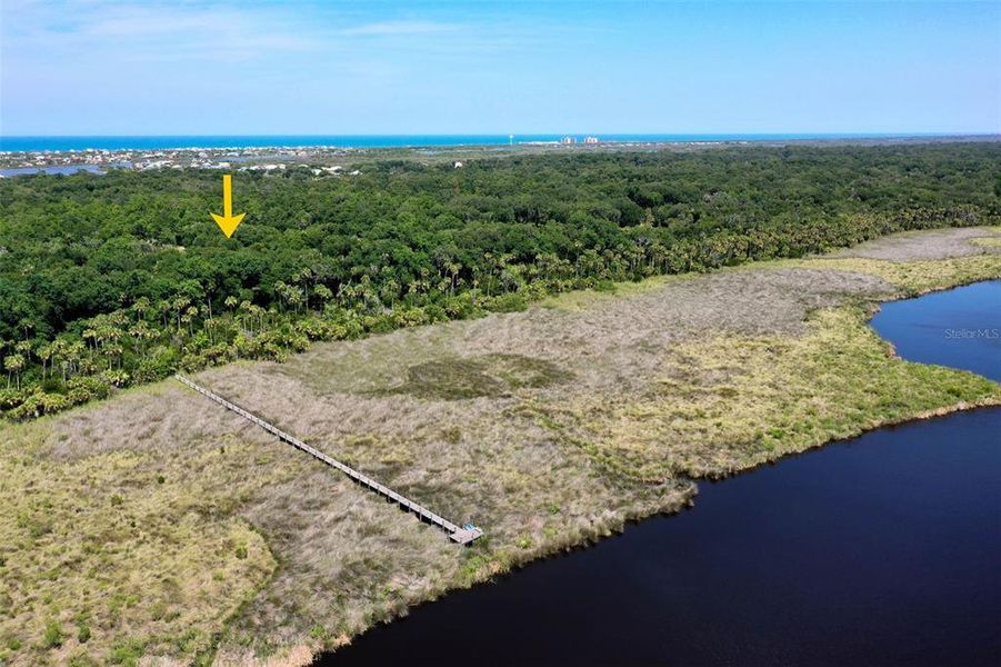 Natural landscape and outdoor views near in Flagler Beach (Image 72). Natural landscape and outdoor views near in Flagler Beach (Image 72).
