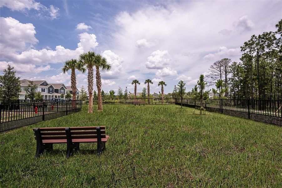 Community amenities in Harvest at Ovation, Winter Garden (Image 44). Community amenities in Harvest at Ovation, Winter Garden (Image 44).