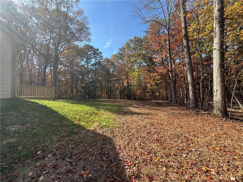 Natural landscape and outdoor views near  in Dawsonville (Image 23).