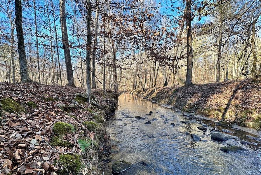 Natural landscape and outdoor views near  in Cumming (Image 20).
